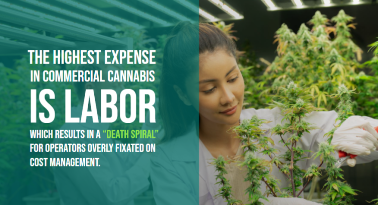 labor expense & death spiral